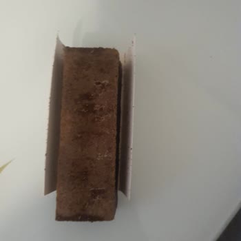 Ülker Tiramisu Ürününde Bozulma Şüphesi Ve Renk Değişikliği