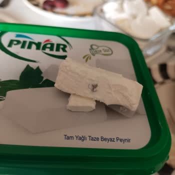 Peynir İçinden Kıl Çıkmasıyla Sağlığımız Tehlikeye Girdi