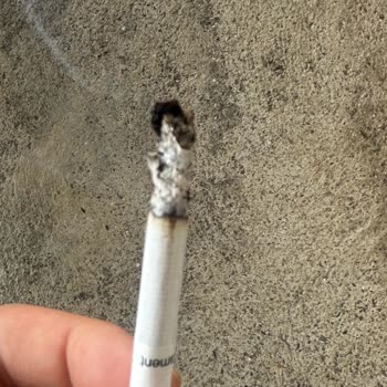 Parliament Night Blue'da Sürekli Yabancı Madde Sorunu Güvenimi Sarsıyor