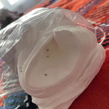 Kapalı Temizlik Pamuğu Paketinde Kan Lekesiyle Karşılaştım