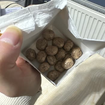 Taze Olması Gereken Çikolatalar Bozuk Çıktı, Güvenimiz Sarsıldı