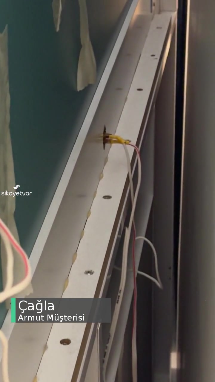 Armut Temizlik Hizmeti Hüsranı! videonun kapak resmi