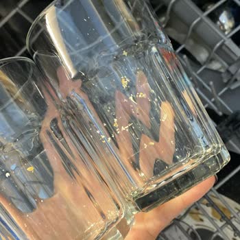 Arçelik Bulaşık Makinem Kirli Yıkıyor, Servis Sorunu Çözemiyor