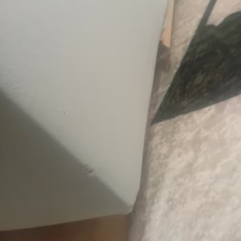 Hasarlı Mobilya, İlgisiz Mağaza: 37.000 TL’lik Mağduriyet