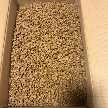 Royal Canin Mini Puppy Food Arrived Spoiled — Both Bags Sticky and Damp