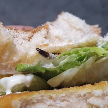 Hamilelikte Hamburgerin İçinden Böcek Çıkmasıyla Yaşadığım Hijyen Şoku