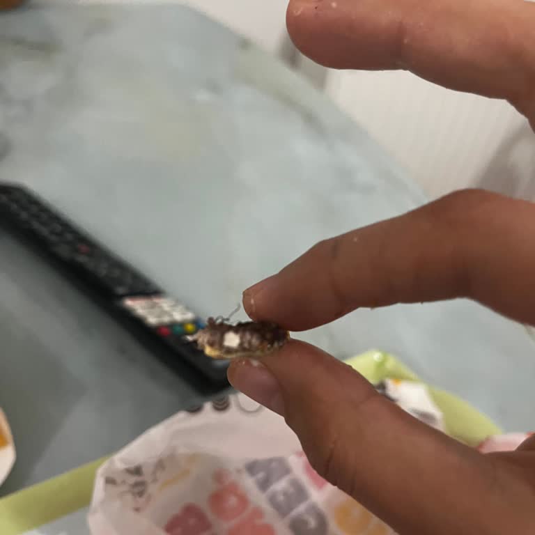 Hamilelikte Hamburgerin İçinden Böcek Çıkmasıyla Yaşadığım Hijyen Şoku