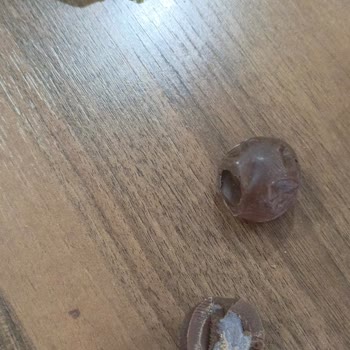 Tarihi Geçmemiş Çikolatadan Canlı Kurt Çıkması Şokunu Yaşadım