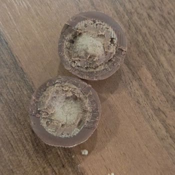 Tarihi Geçmemiş Çikolatadan Canlı Kurt Çıkması Şokunu Yaşadım