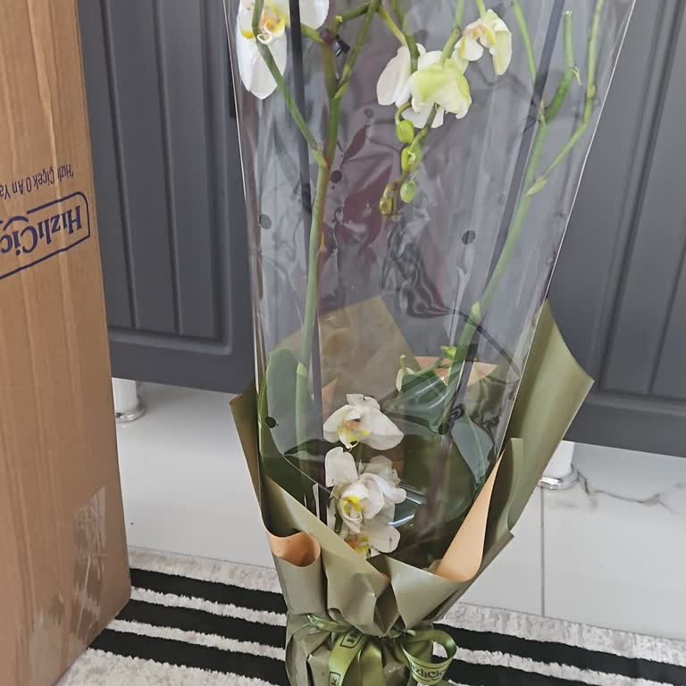 Yanlış Ve Solmuş Çiçek Gönderildi, Paramın İadesini İstiyorum