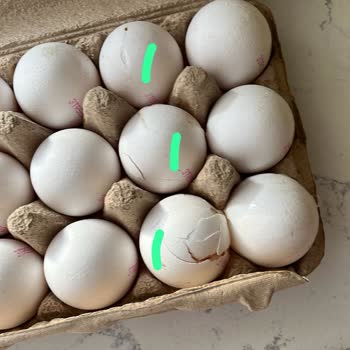 Kırık Yumurta Ve Çürük Patates Teslimatı Sonrası İade Talebi