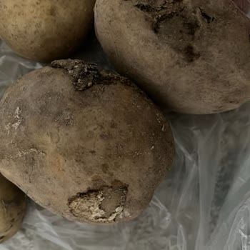 Kırık Yumurta Ve Çürük Patates Teslimatı Sonrası İade Talebi