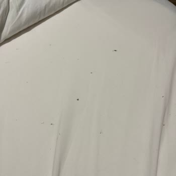 Agoda.com Kötü Hijyen, Saygısız Davranış Ve Mağduriyet