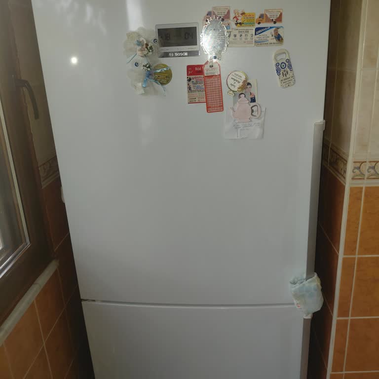 Bosch Buzdolabında Sürekli Soğutma Sorunu Ve Çözüm Eksikliği