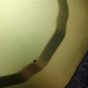 Karaca Züccaciye Soyulan Felitica Serisi Tabaklarımın İncelenerek Değiştirilmesini Talep Ediyorum