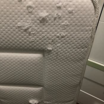 Yatakta Çıkan Çivi Ve Ulaşılamayan Müşteri Hizmetleri