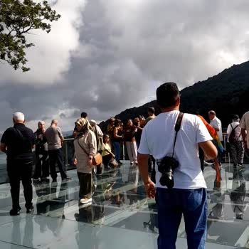 Hayvanların Ticari Amaçla Sakat Bırakılması Ve Kötü Koşullarda Çalıştırılması