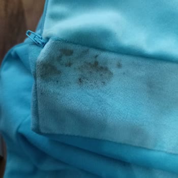 Hijyenik Olmayan Ürün Ve Yetersiz Müşteri Hizmeti Nedeniyle Mağduriyet