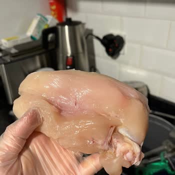 Aldığım Tavuk Ürünü Bozuk Çıktı, Gıda Güvenliğinden Endişeliyim