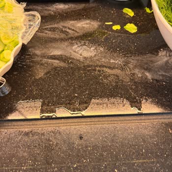 Hijyen Sorunları Ve İade Oyalamasıyla Mağduriyet Yaşadım