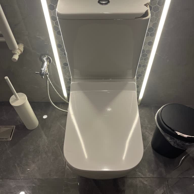 Vitra S25 Klozet Takımı Rezervuar Kapağı İçin Yedek Parça Sorunu