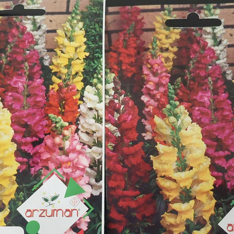 Yanlış Tohum Gönderimi Ve İade Sonrası Ücret İadesinin Yapılmaması