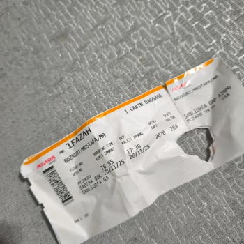 Sabiha Gökçen'de Yaşlı Yolcuya İlgisiz Ve Stresli Muamele