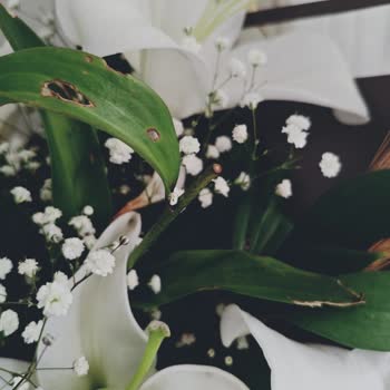 Sipariş Edilen Ürün Görselden Farklı Ve Kötü Kokulu Geldi