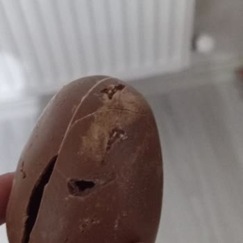 A101den Alınan Sürpriz Yumurtada Canlı Kurtlar Çocuğumun Sağlığı Tehlikeye Girdi