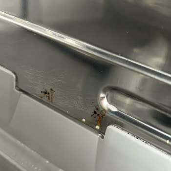 Bosch Bulaşık Makinesinde Ciddi Paslanma Ve Garanti Desteği Sorunu