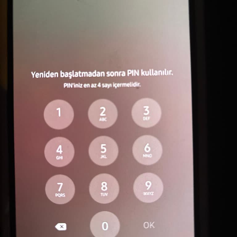 Samsung A34'te Yanlış Pin Sorunu Ve Veri Kaybı Endişesiyle Destek Talebi
