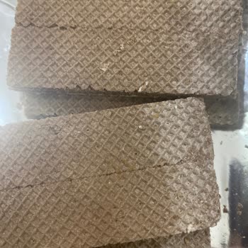 Bayat Ve Bozulmuş Gofretle Karşılaştım