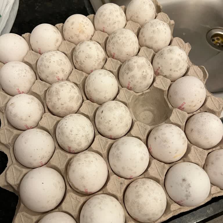 Carrefour SA Tarihi Geçmiş Yumurta Satışı