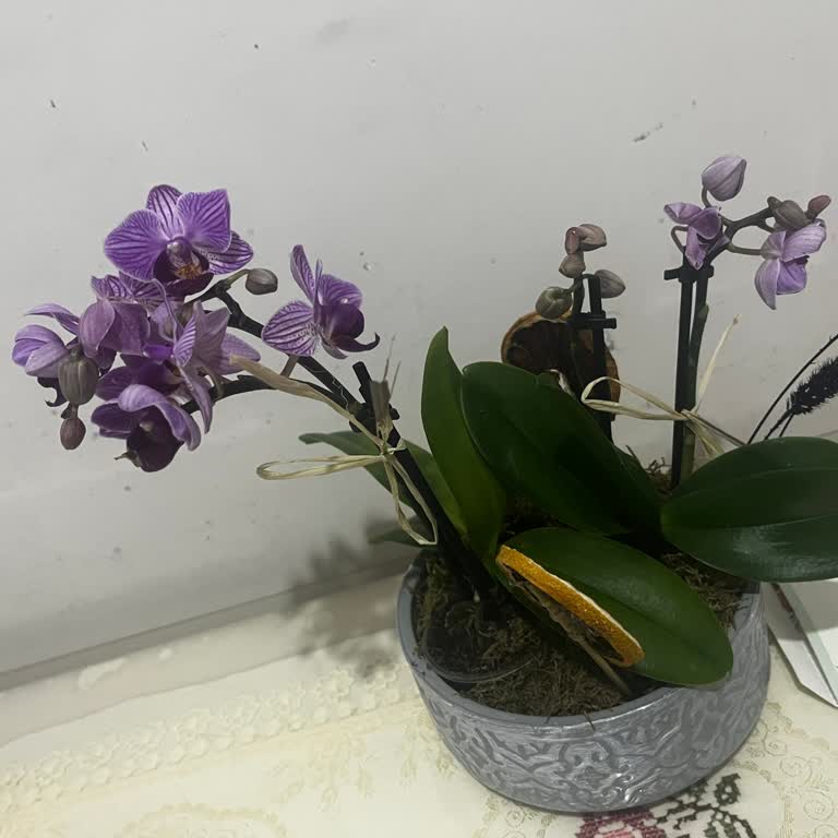 Özel Günde Yanlış Ve Değersiz Ürün Gönderimi Mağduriyeti