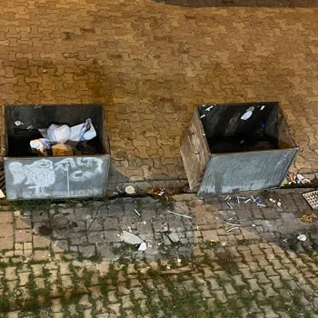 Çöp Konteyneri Koku Ve Hijyen Sorunu Çözülmüyor