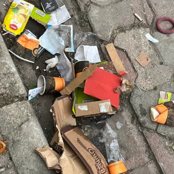 Çöp Konteyneri Koku Ve Hijyen Sorunu Çözülmüyor