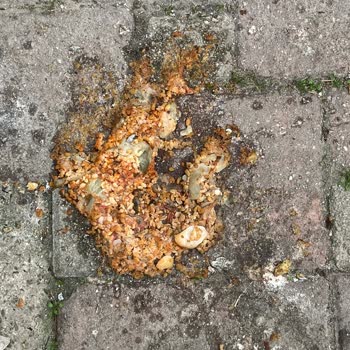 Çöp Konteyneri Koku Ve Hijyen Sorunu Çözülmüyor