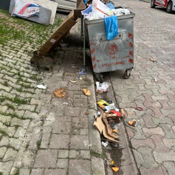 Çöp Konteyneri Koku Ve Hijyen Sorunu Çözülmüyor