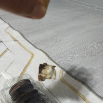 Çocuğumun Yediği Bisküviden Yabancı Madde Çıkması Ve Hijyen Endişesi