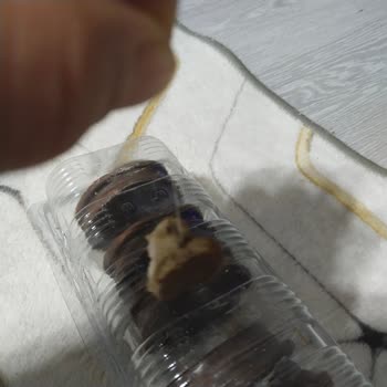 Çocuğumun Yediği Bisküviden Yabancı Madde Çıkması Ve Hijyen Endişesi