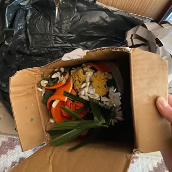 Çiçek Siparişim Özensiz Paketleme Nedeniyle Kırık Ve Kötü Durumda Teslim Edildi