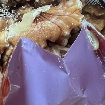 Özdanacı Kuruyemiş Cevizden Kurt Çıktı