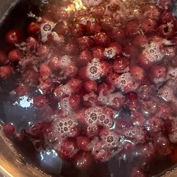 Dondurulmuş Vişnelerde Kurt Çıkması Sağlığımızı Tehdit Etti