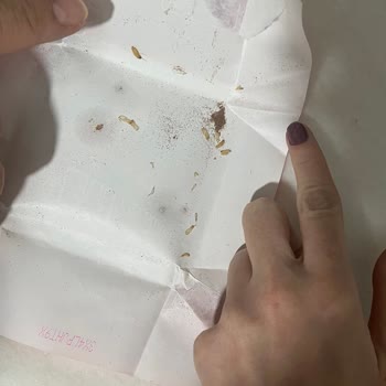 Son Kullanma Tarihi Geçmemiş Çikolatada Kurt Çıkması Ve Gıda Güvenliği Endişesi