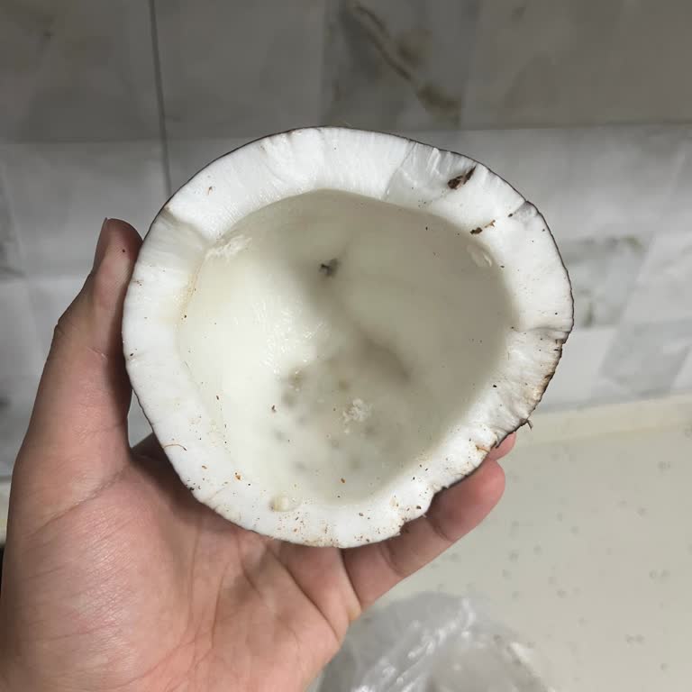 Bozuk Hindistan Cevizi Nedeniyle Sağlık Ve Maddi Mağduriyet