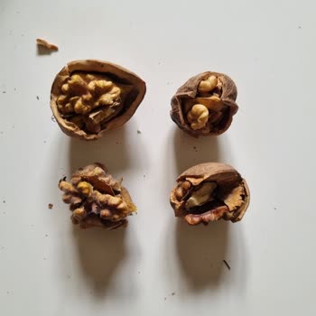 Epttavm Küflü Ve Kalitesiz Ceviz, Yorumum Sansürlendi!