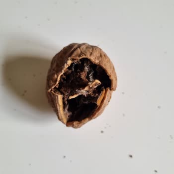 Epttavm Küflü Ve Kalitesiz Ceviz, Yorumum Sansürlendi!