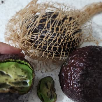 Migros Sanal Market’ten Küflü Ve Bozuk Avokado Teslimatı, Yetersiz Çözüm