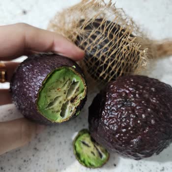 Migros Sanal Market’ten Küflü Ve Bozuk Avokado Teslimatı, Yetersiz Çözüm