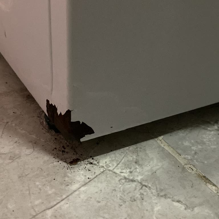 4 Yıllık Arçelik Çamaşır Makinesinde Paslanma Ve Ürün Değişimi Talebi